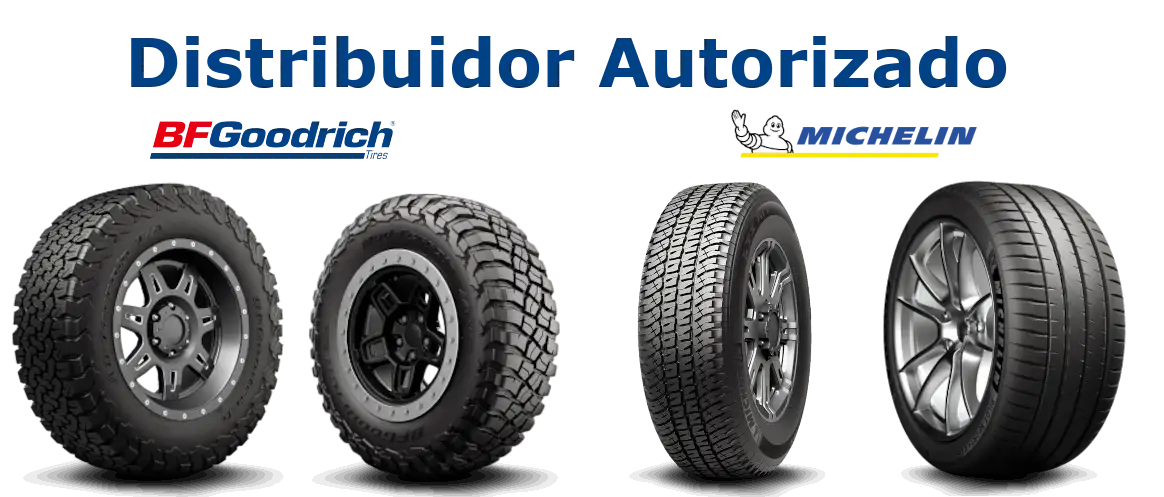 Distribuidor autorizado